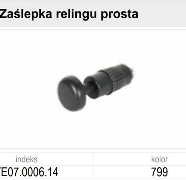 TE07.0006.14.799  VÉGZÁRÓ IDOM